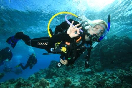 Image 1 - Kat diving